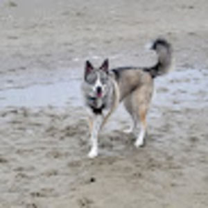 Meet your Posher, Renae